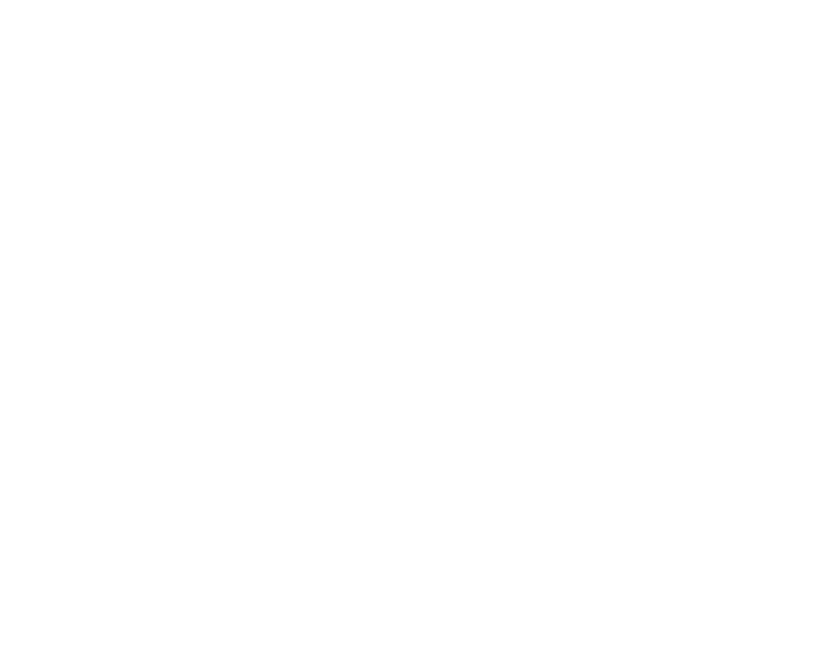 BAULIN Stuckateur